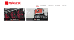 Desktop Screenshot of molewoodconsulting.com