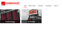 Tablet Screenshot of molewoodconsulting.com